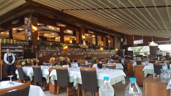 Adanali Hasan Kolcuoglu